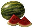 watermelon-3-copy.jpg