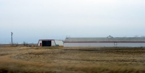 There will be more empty barns in Manitoba