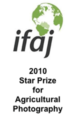ifaj-2010-star-photo