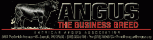 Angus Logo