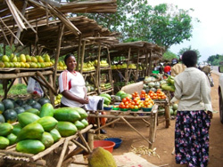 IFAJ Uganda Media Tour