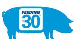 feeding-30