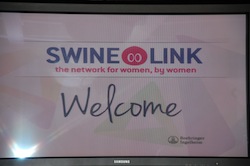 BI-SwineLink-13