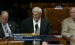 Rep Peterson