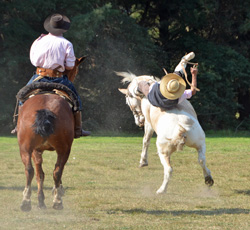 IFAJ Congress Gauchos