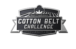 Metallic_Cotton_Belt_Logo