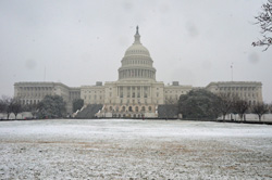 Capitol Snow