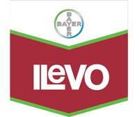 bayer-ilevo