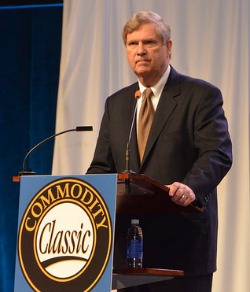 vilsack