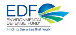 EDF logo