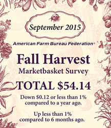 afbf-market-fall