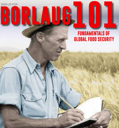 borlaug-101
