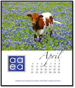 AAEA Calendar
