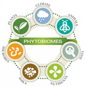 phytobiomesIdentity_circle_small