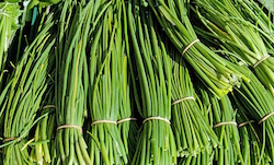 chives-1287096_960_720
