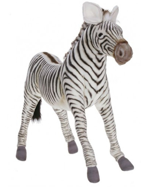 Zimmie The Zebra