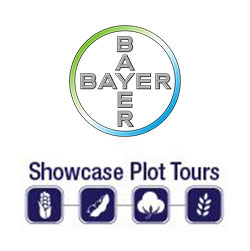 bayer-plot-tours