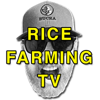 Rice Farming TV