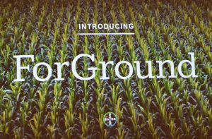 Bayer ForGround