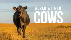 World without cows