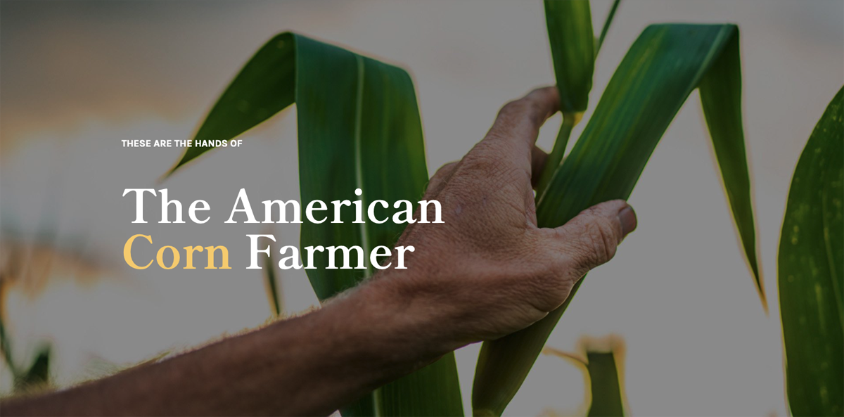 Corn Farmers Launch Campaign to Open Minds | AgWired